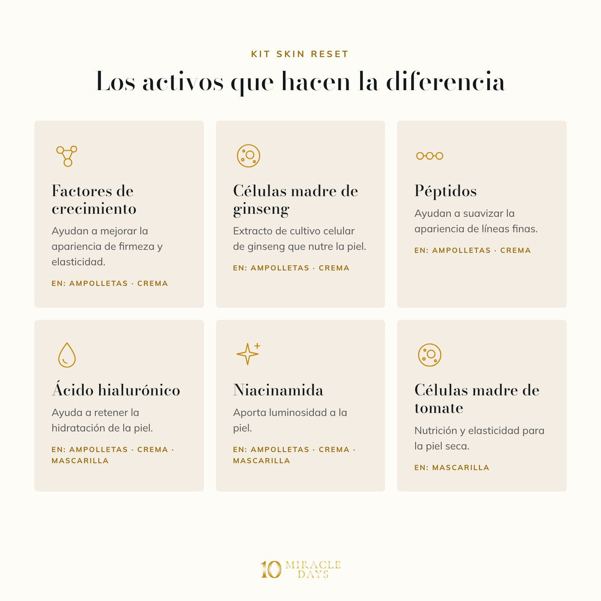 Kit Skin Reset: activos principales